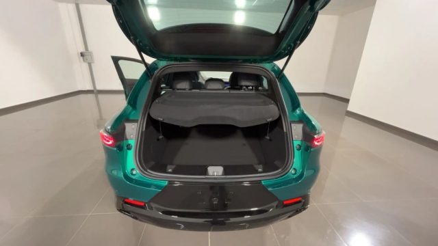 ALFA ROMEO Tonale usata, con Vetri oscurati