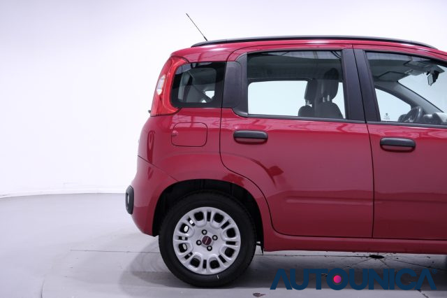 FIAT Panda usata 44