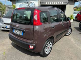 FIAT Panda usata, con Climatizzatore