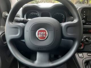 FIAT Panda usata, con Vivavoce