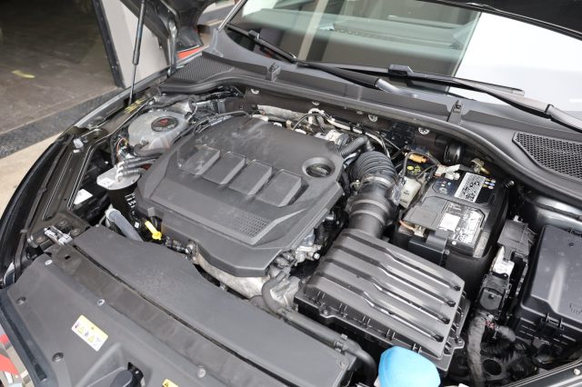 SKODA Octavia usata 175