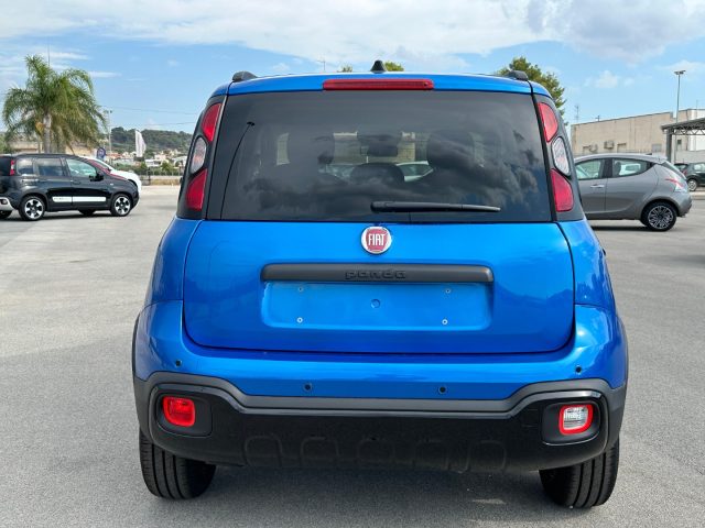 FIAT Panda Cross usata, con Controllo trazione