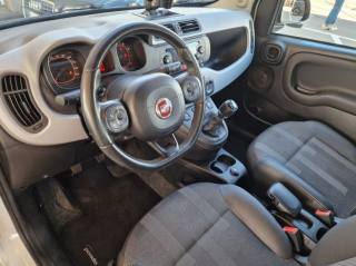 FIAT Panda usata, con Controllo automatico clima