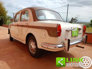 FIAT 1100 usata 9