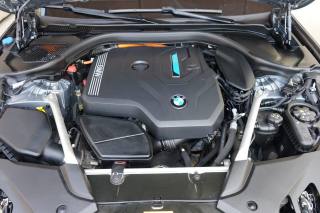 BMW 530 usata 28