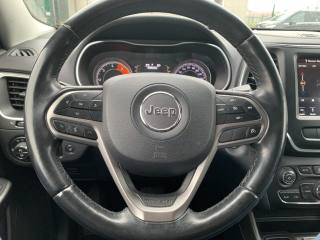 JEEP Cherokee usata, con Fendinebbia