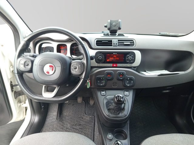 FIAT Panda Cross usata, con Airbag testa