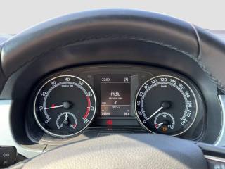 SKODA Fabia usata 14