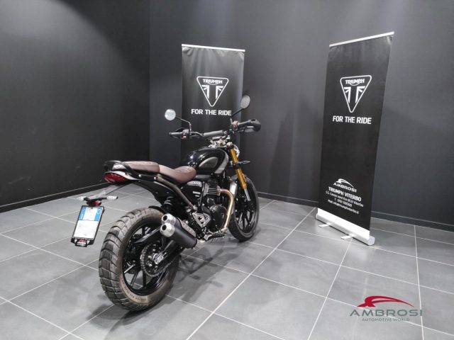 TRIUMPH Scrambler usata 4
