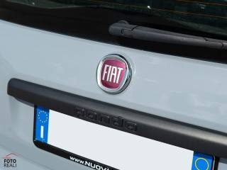 FIAT Panda usata 25