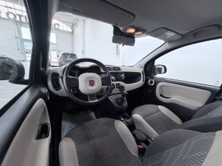 FIAT Panda usata 17