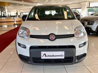 FIAT Panda usata, con Airbag