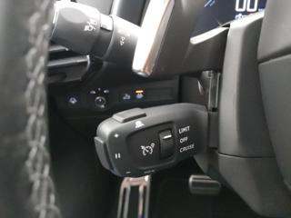 DS AUTOMOBILES DS 7 Crossback usata, con Controllo automatico clima