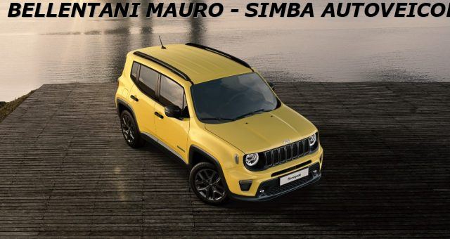 JEEP Renegade usata, con Cerchi in lega