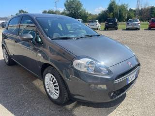 FIAT Punto usata, con Chiusura centralizzata