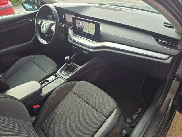 SKODA Octavia usata 113