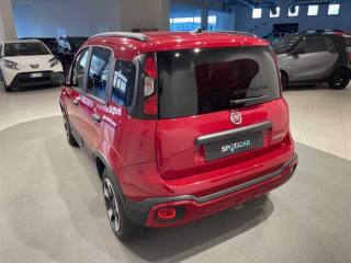 FIAT Panda Cross usata, con Chiusura centralizzata