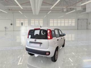 FIAT Panda usata, con Airbag