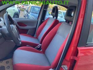 FIAT Panda usata, con Fendinebbia