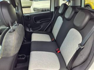 FIAT Panda Cross usata, con Immobilizzatore elettronico