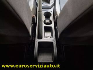 SEAT Ibiza usata, con Vetri oscurati
