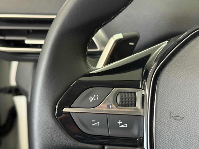 PEUGEOT 3008 usata 15