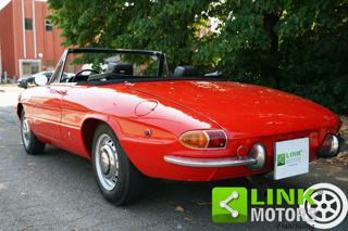 ALFA ROMEO Spider usata 6
