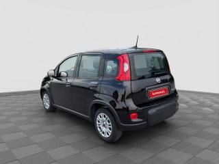 FIAT Panda usata 2