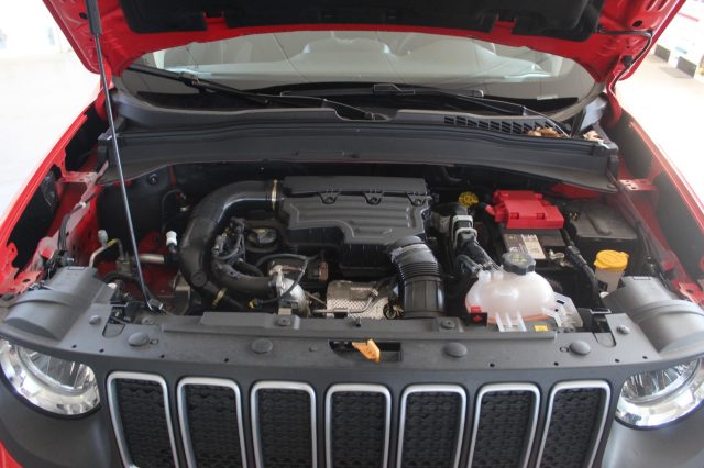 JEEP Renegade usata, con Bracciolo