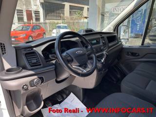 FORD Transit usata, con Fendinebbia