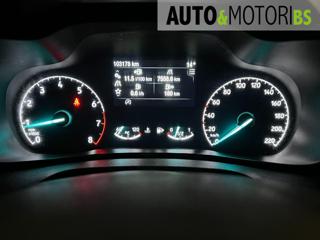 FORD Transit Connect usata, con Specchietti laterali elettrici