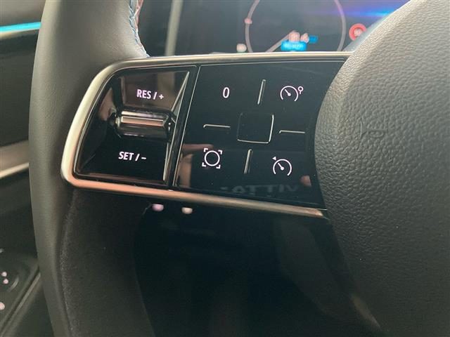 RENAULT Austral usata 19