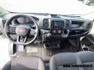 FIAT  usata 9