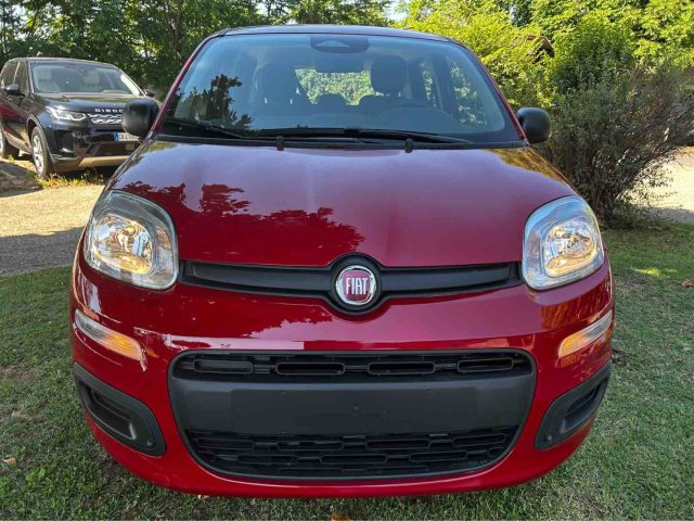 FIAT Panda usata, con Alzacristalli elettrici