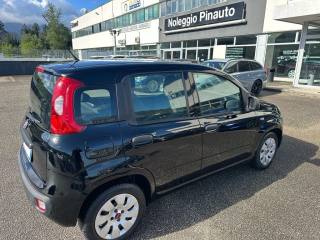 FIAT Panda usata, con Alzacristalli elettrici