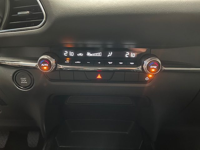 MAZDA CX-30 usata, con Cerchi in lega