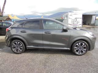FORD Puma usata, con Bracciolo