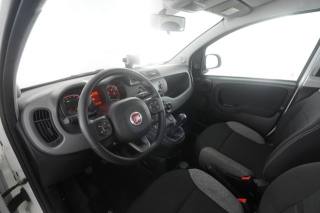 FIAT Panda usata 1
