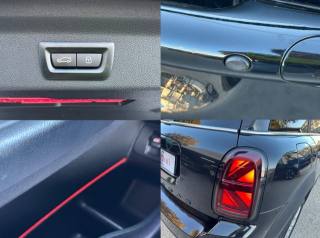 MINI Mini usata, con Cronologia tagliandi