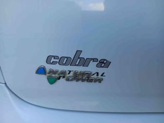 FIAT Punto Evo usata, con ESP