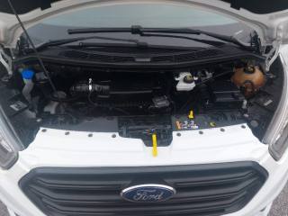 FORD Transit Custom usata, con Autoradio digitale