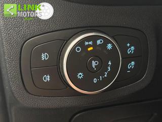 FORD Fiesta usata 14