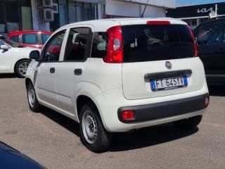 FIAT Panda usata, con Immobilizzatore elettronico