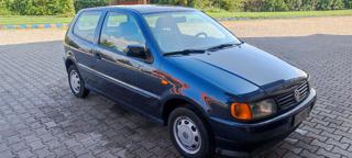 VOLKSWAGEN Polo usata 2