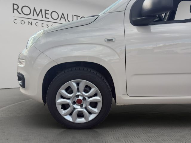 FIAT Panda usata 21