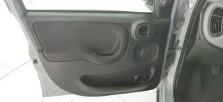FIAT Panda usata 55