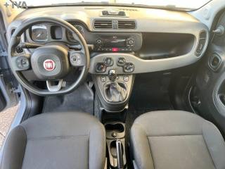FIAT Panda usata 18