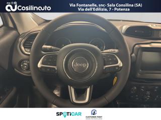 JEEP Renegade usata, con Cruise Control
