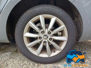 SKODA Octavia usata, con Fendinebbia