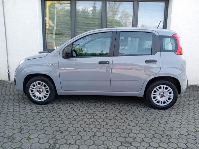 FIAT Panda usata, con Alzacristalli elettrici